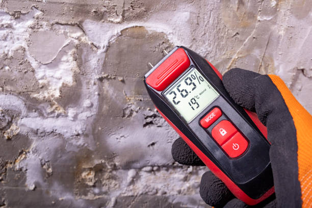 Best Mold Removal and Inspection  in Navesink, NJ