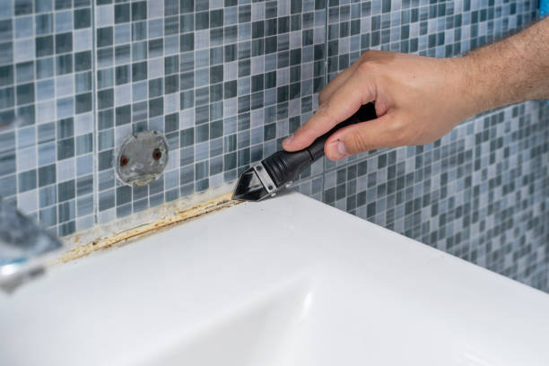 Best Commercial Mold Removal  in Navesink, NJ